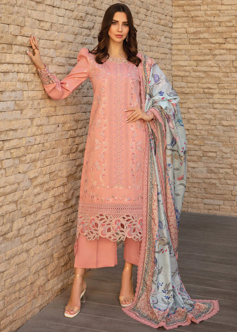Carnation By Rang Rasiya Embroidered Lawn Suits Unstitched 3 Piece RR24C D-01 - Summer Collection