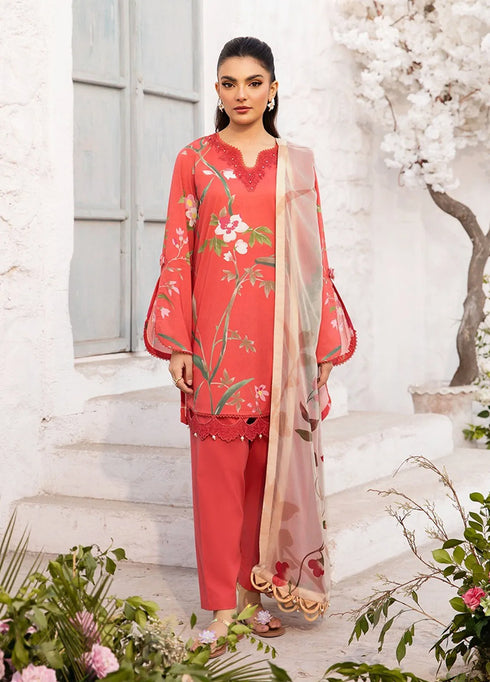 M Basics by Maria B Printed Lawn Suit Unstitched 3 Piece MB25BL D-7B - Summer Collection