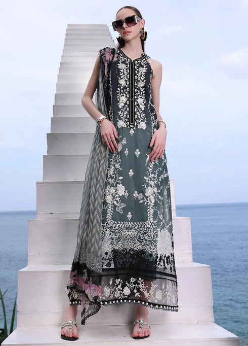 Noor by Saadia Asad Embroidered Lawn Suits Unstitched 3 Piece NSA24LP D2-B - Summer Collection