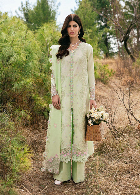 Qlinekari by Qalamkar Embroidered Lawn Suits Unstitched 3 Piece QLM25QK DC-14 Meline - Summer Collection