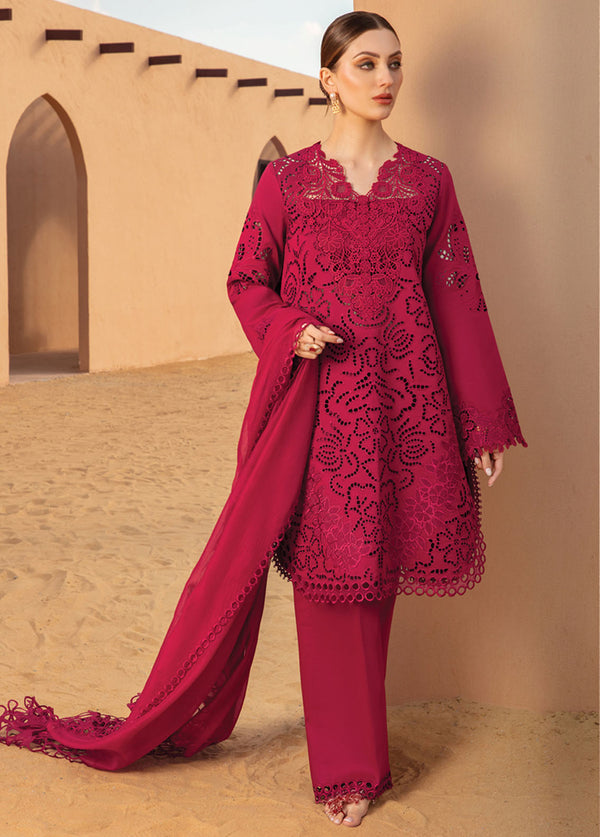 Rang Rasiya Embroidered Lawn Suits Unstitched 3 Piece RR24PS D-10 Rameen - Summer Collection