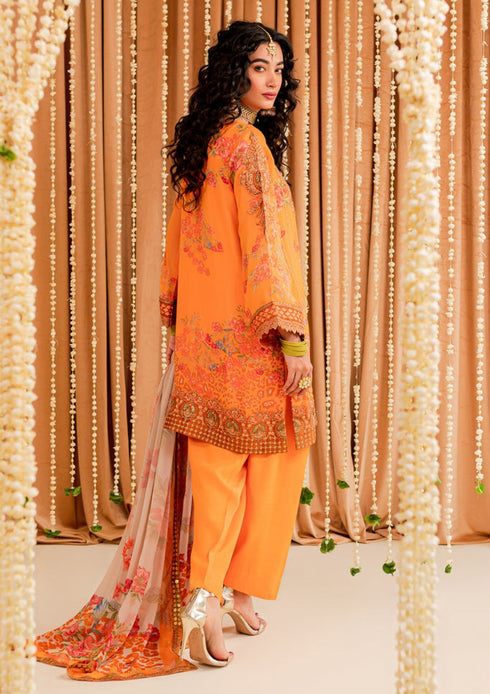 Charizma Vasal Chiffon’ SUIT 25 VSL-01