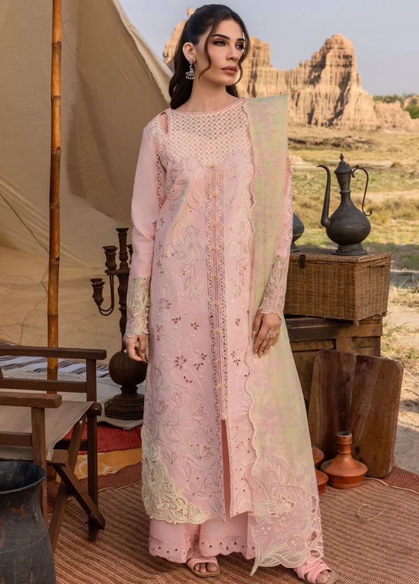 Premium By Rang Rasiya Embroidered Lawn Suits Unstitched 3 Piece RR25P D-11 Nehal - Summer Collection