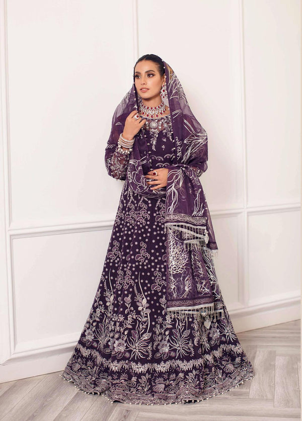 Ritzier By Rang Rasiya Embroidered Organza Suits Unstitched 3 Piece RRRZ22D1 Umber - Wedding Collection