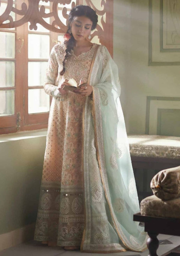 MUSHQ QALA KAMDANI D 04 |MCK#04| LUXURY FESTIVE COLLECTION AT ESHAAL COLLECTION