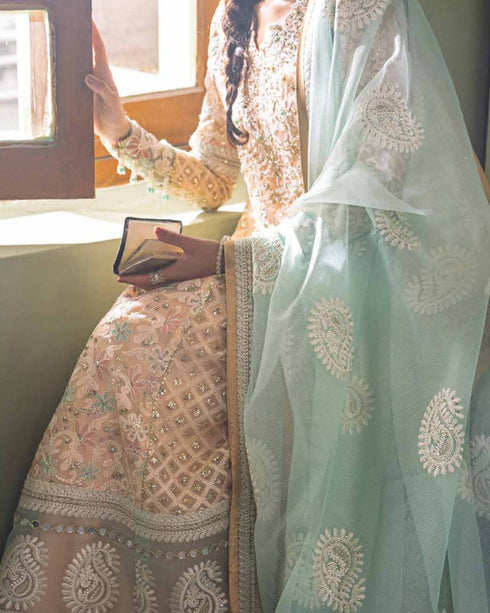 MUSHQ QALA KAMDANI D 04 |MCK#04| LUXURY FESTIVE COLLECTION AT ESHAAL COLLECTION